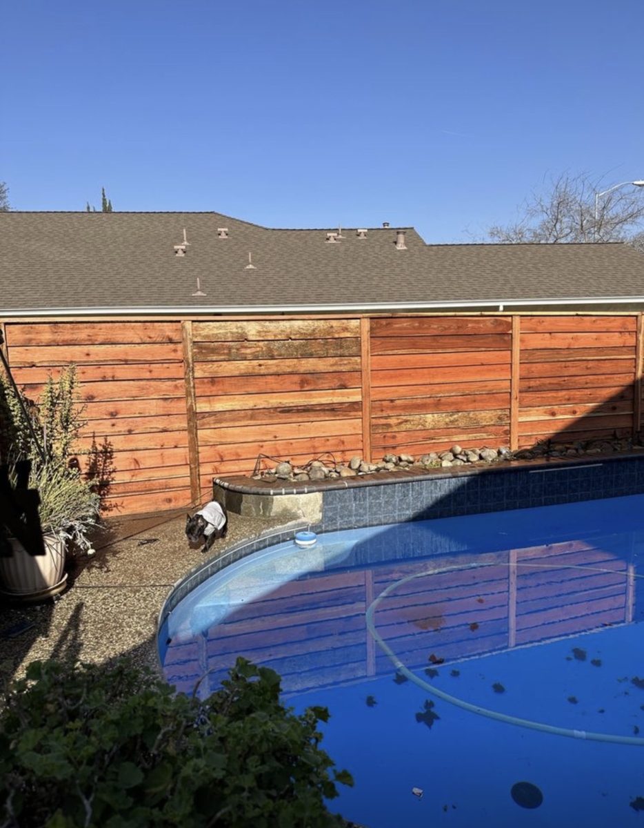 Horizontal board redwood fence behind a backyard pool