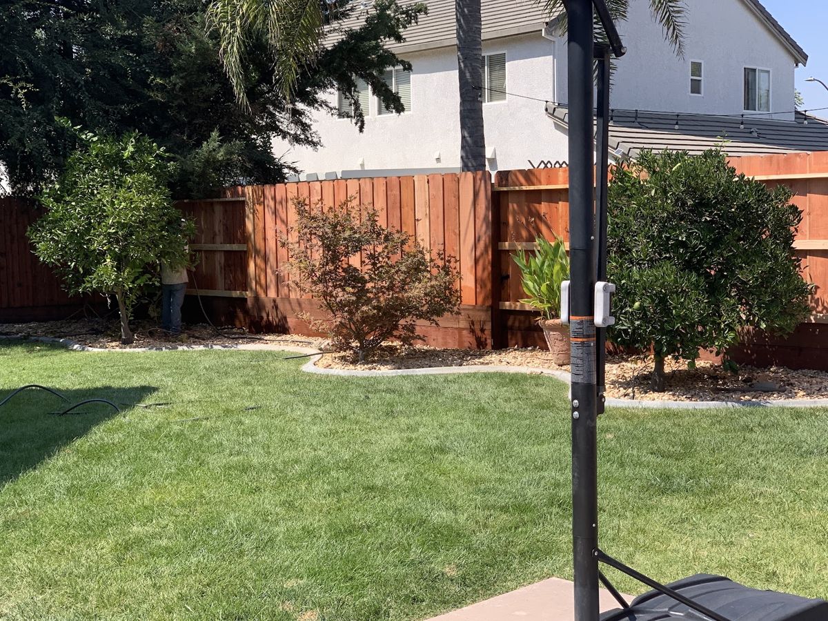 Redwood fence in a backyard with a gravel border and shrubs, freshly built and finished